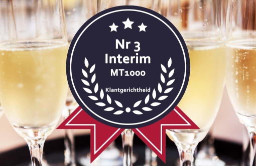 Interim nr3